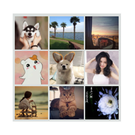 宠出没武汉寻宠联盟